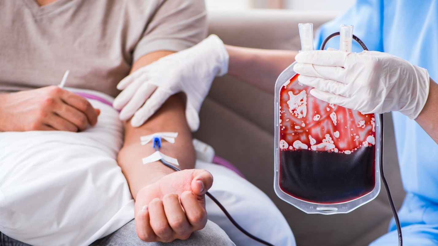 Hiến máu nên ăn gì trước khi đi hiến máu? 

