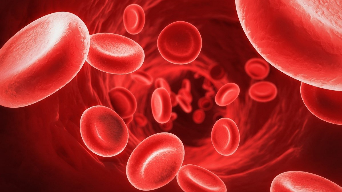 Làm thế nào để giữ cho mức hồng cầu trong máu ở mức an toàn?