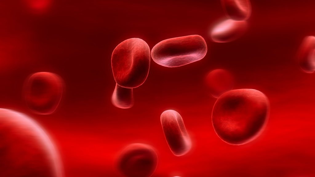 Liệu hồng cầu thấp có nguy hiểm cho sức khỏe không? Tác động của nó như thế nào?
