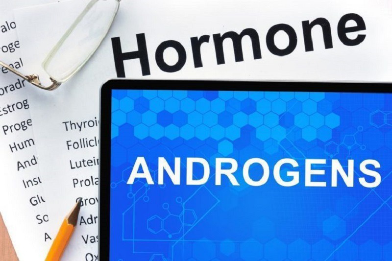hormone-androgen-giu-vai-tro-gi 1.jpg