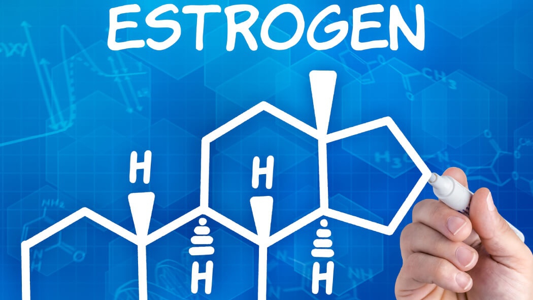 Hormone estrogen: Vai trò và tác dụng đối với cơ thể con người