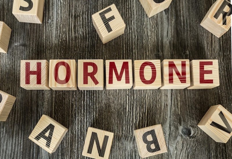hormone-la-gi-vai-tro-cua-hormone-trong-co-the 1.jpg
