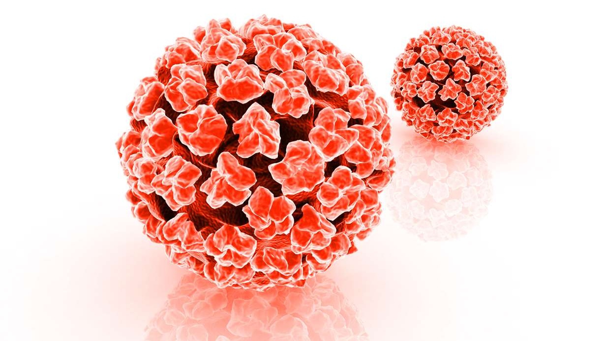 Tìm hiểu HPV là gì?