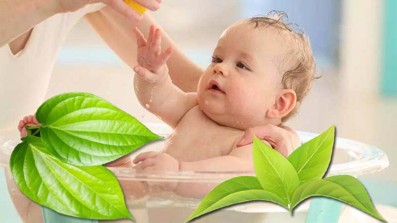 Tắm lá trầu không cho trẻ sơ sinh có tác dụng gì?