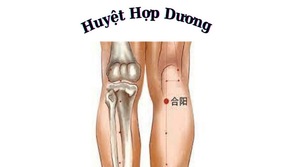 Huyệt Hiệp Dương có tác dụng gì?