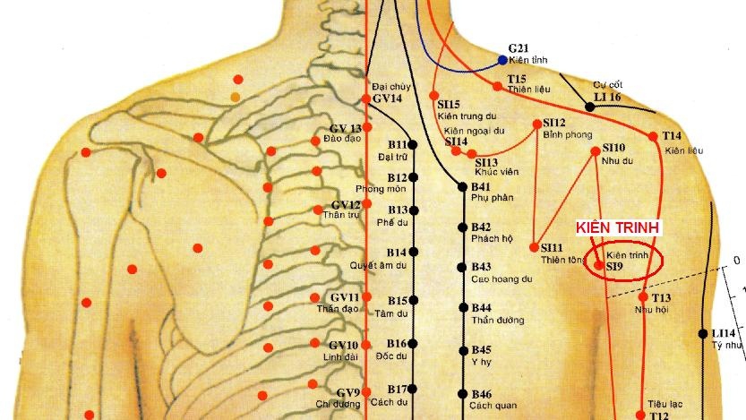 Hướng dẫn cách bấm huyệt Kiên Trinh chính xác nhất