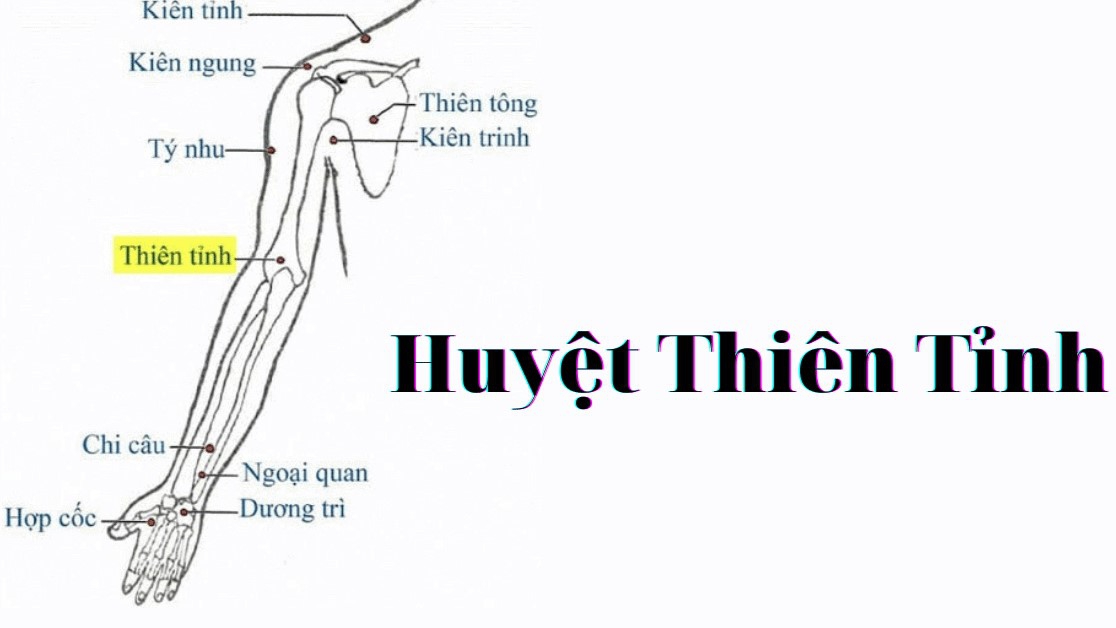 Huyệt Thiên Tỉnh nằm ở đâu? Một số tác dụng của huyệt Thiên Tỉnh đối với sức khỏe