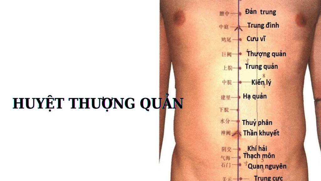 Huyệt Thượng Quản: Huyệt vị quan trọng chữa trị bệnh