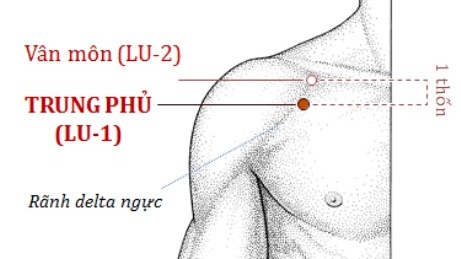 Huyệt Vân Môn nằm ở đâu trên cơ thể?