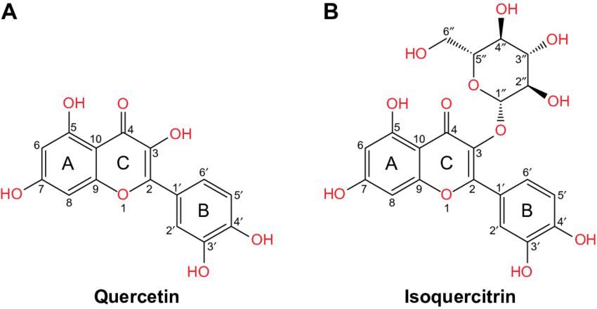 Isoquercitrin