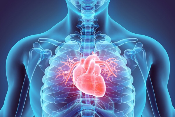 Khám tim mạch diễn ra như thế nào? Khi nào cần khám tim mạch? 2