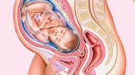 Khởi phát chuyển dạ và những điều mẹ bầu cần biết