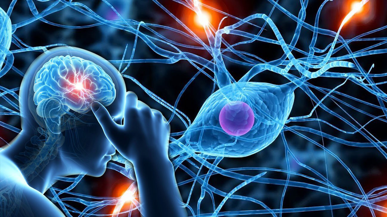 Tìm hiểu liệu pháp tái tạo myelin trong hệ thần kinh