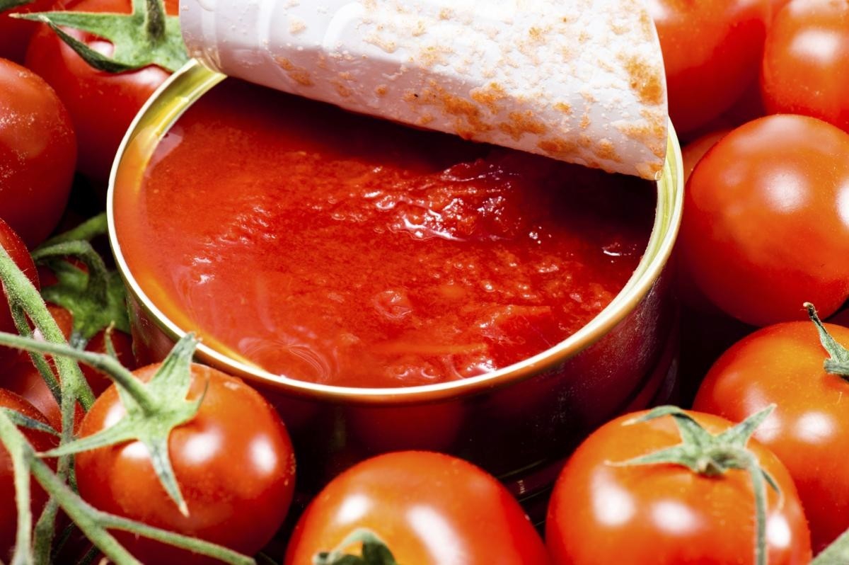 Những thành phần chính trong món cá sốt cà chua đóng hộp là gì?
