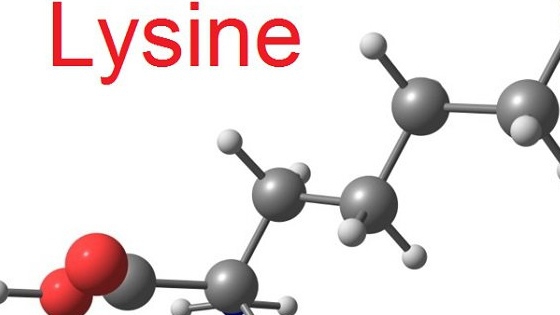 Lysin có tác dụng gì trong việc ngăn ngừa và chữa lành vết thương?
