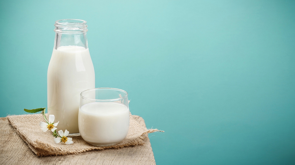 Sữa nào là tốt nhất cho xương khớp người trẻ?