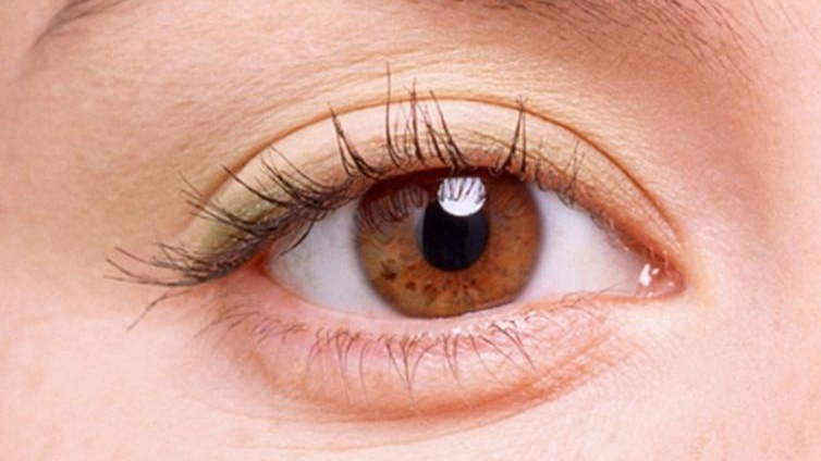 Màu mắt có do di truyền không? 1