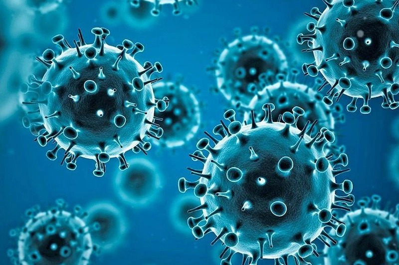 Miễn dịch qua trung gian tế bào là gì? Cách hoạt động ra sao? 3