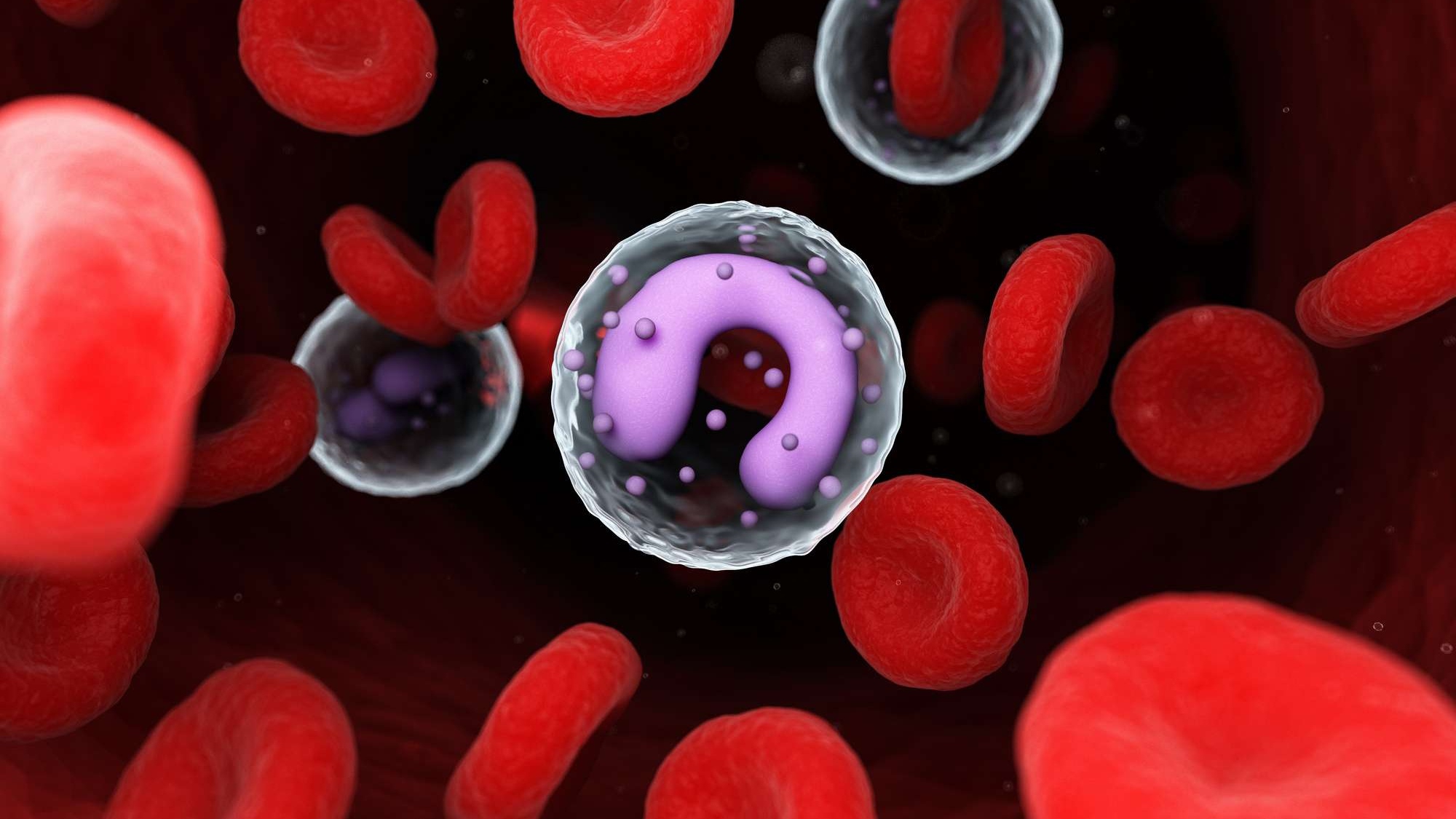 Các chỉ số bạch cầu mono trong xét nghiệm máu biểu thị điều gì về sức khỏe của cơ thể?
