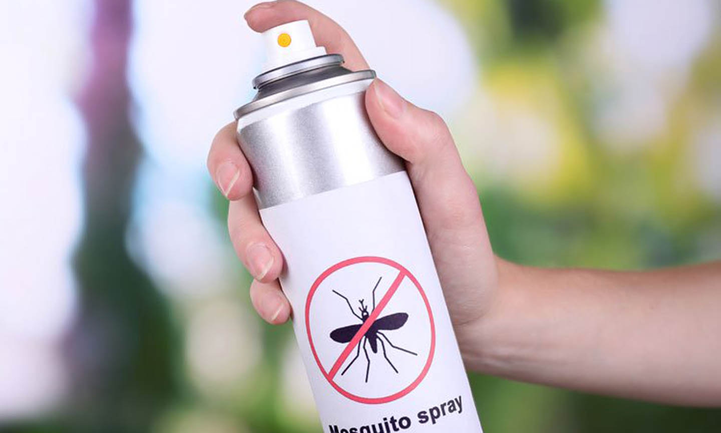 Thuốc diệt kiến muỗi có tác động gì đến môi trường?
