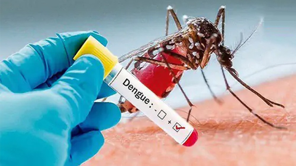 Muỗi Aedes truyền bệnh sốt xuất huyết Dengue