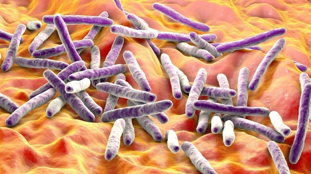 Mycobacterium Tuberculosis và những điều bạn cần biết