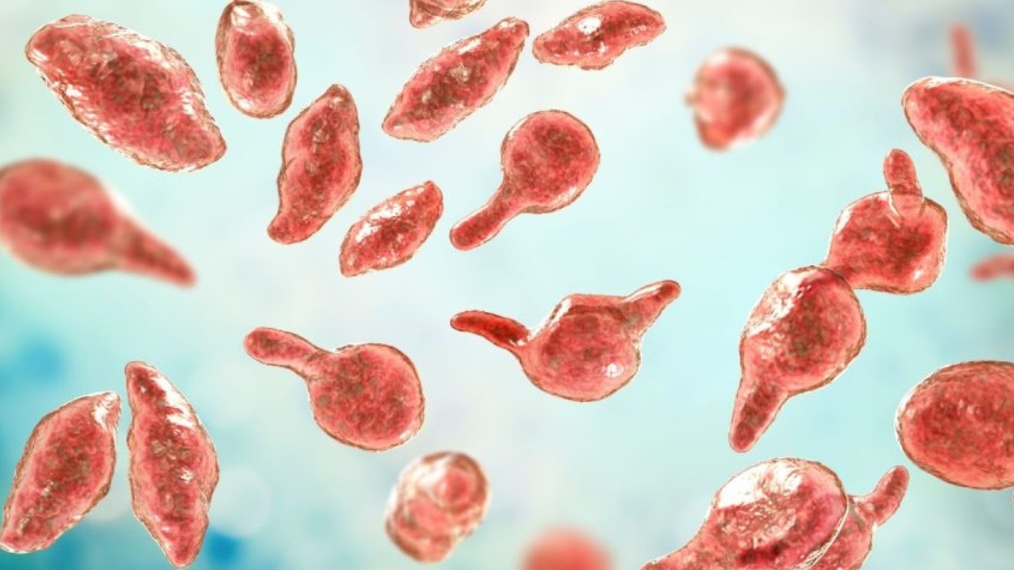 Nhiễm Mycoplasma Genitalium là gì? Có nguy hiểm không?