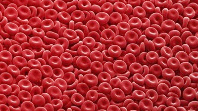Tìm hiểu ăn gì de giảm hồng cầu trong máu để duy trì sức khỏe?