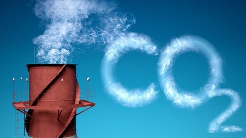 Khí CO2 có nguồn gốc từ đâu? 
