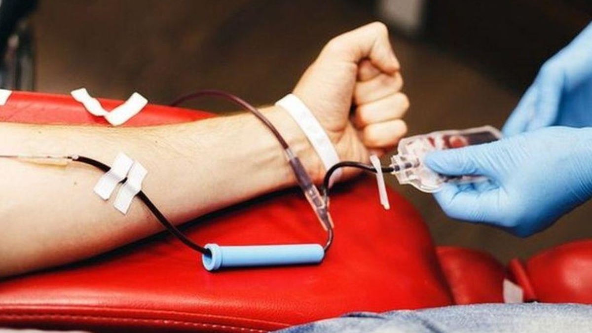 Xăm hình có được tham gia hiến máu không?