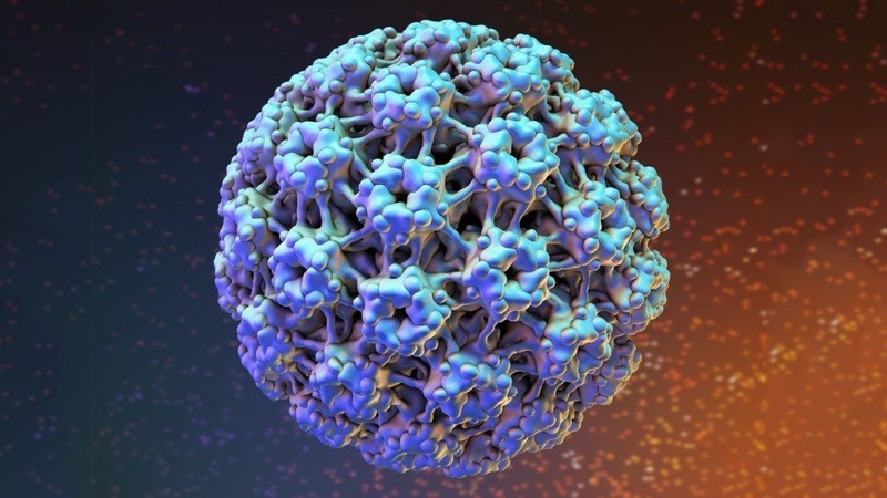 nhiem-virus-hpv-type-6-co-nguy-hiem-khong.jpg