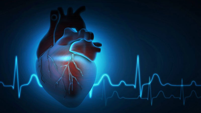 Nhịp tim 90 có nguy hiểm không? Khi nào cần đi bác sĩ? 1