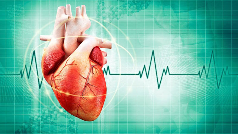 Nhịp tim bao nhiêu là nguy hiểm? 1