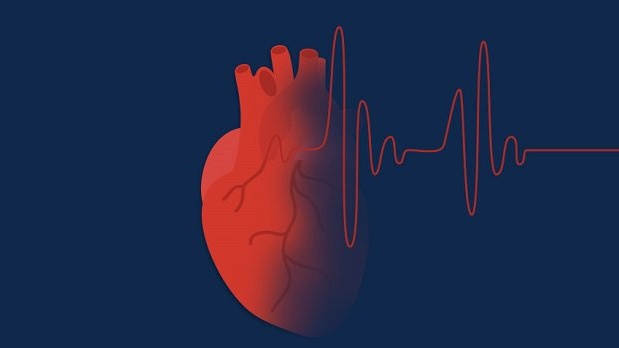 Nhịp tim nhanh ảnh hưởng đến hệ thống tim mạch như thế nào?
