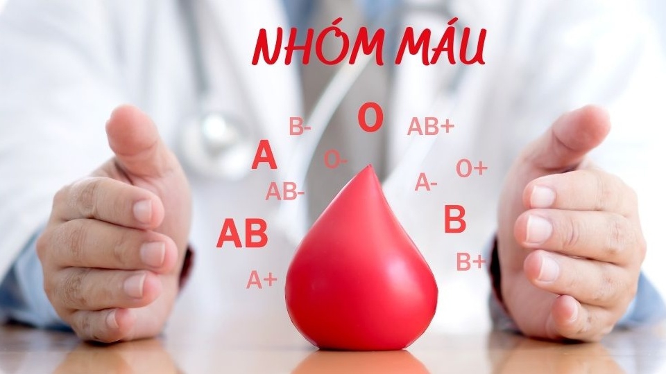 Tôi có thể xét nghiệm nhóm máu ABO ở đâu và có đắt không?
