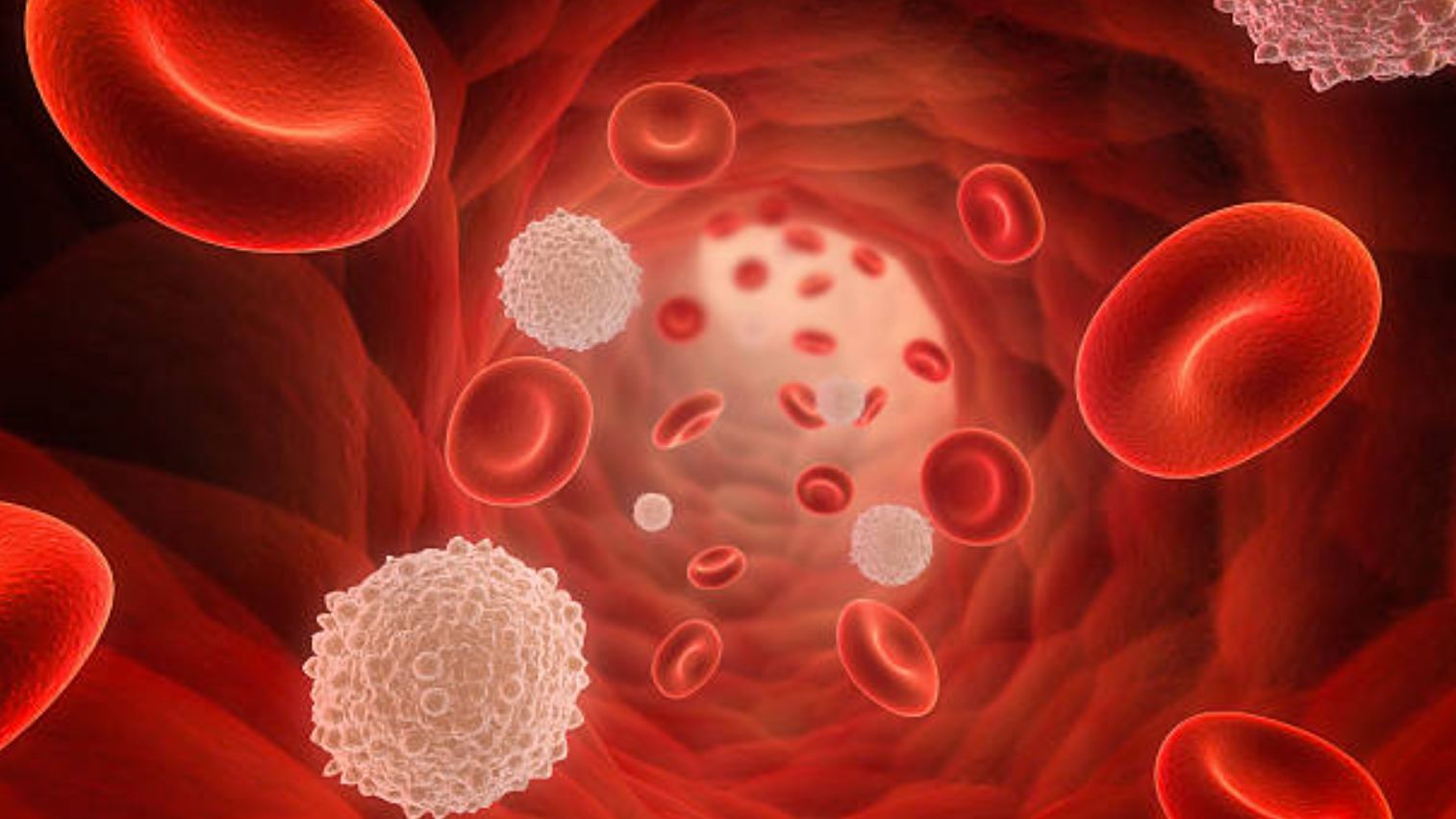 Liệu người mang nhóm máu O có nguy cơ cao về một số bệnh lý nào đặc biệt?
