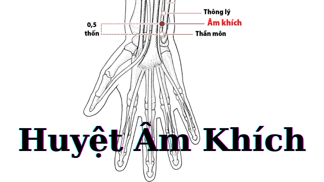 Những điều bạn cần biết về huyệt Âm Khích