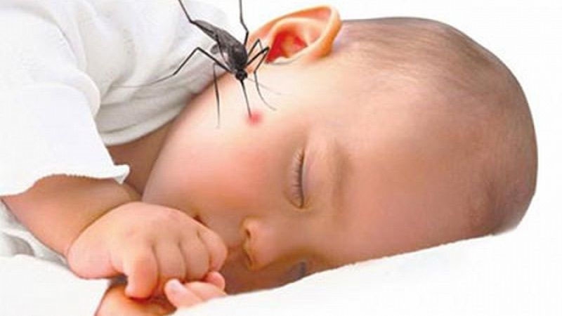 Những điều cần biết về bệnh sốt rét ở trẻ em và cách phòng tránh 1