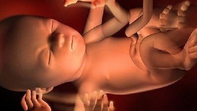 Bộ phận sinh dục của thai nhi phát triển như thế nào tại tuần thứ 17?