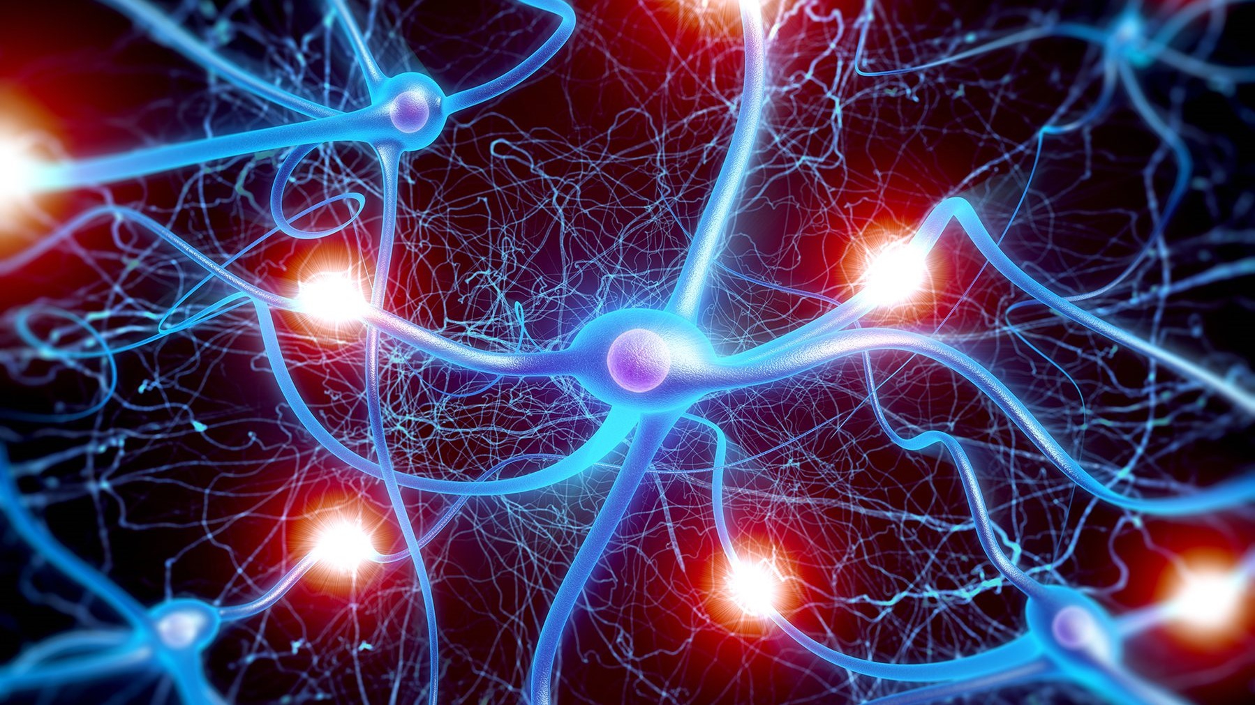 Tại sao bao miễn trên sợi trục của nơ ron quan trọng đối với chức năng của nó?