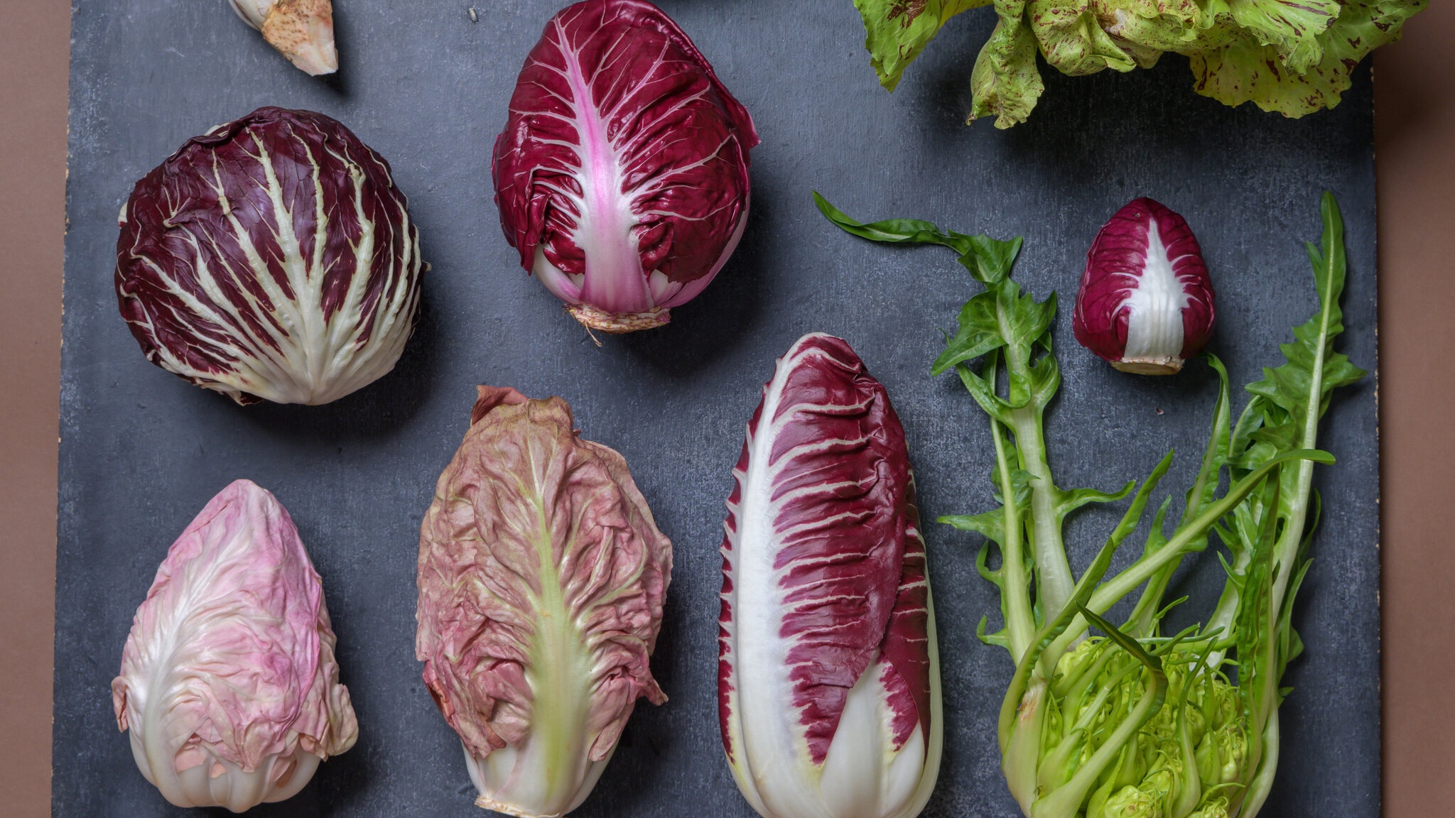 Rau diếp xoăn Radicchio có lợi ích gì? Giá trị dinh dưỡng của rau diếp Radicchio