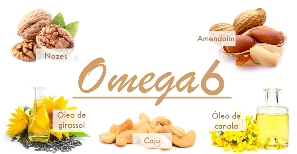 Omega6 là gì-1