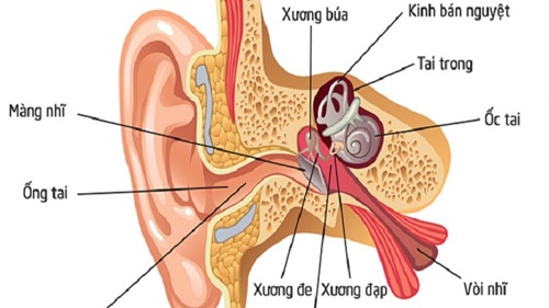 Tìm hiểu về phác đồ điều trị nấm ống tai ngoài và cách chữa trị hiệu quả