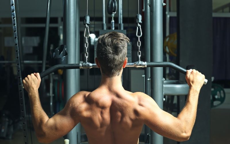 Điểm danh các nhóm cơ tập gym trên cơ thể mà bạn cần biết 3