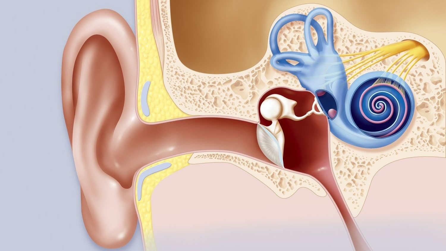 Rối loạn thính giác là gì? Nguyên nhân, triệu chứng, cách chẩn đoán và điều trị bệnh hiệu quả