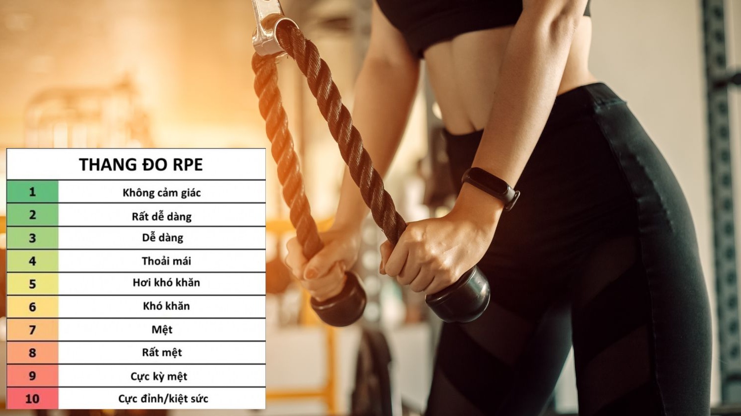 RPE là gì? Ứng dụng của RPE? Lợi ích và hạn chế khi sử dụng RPE