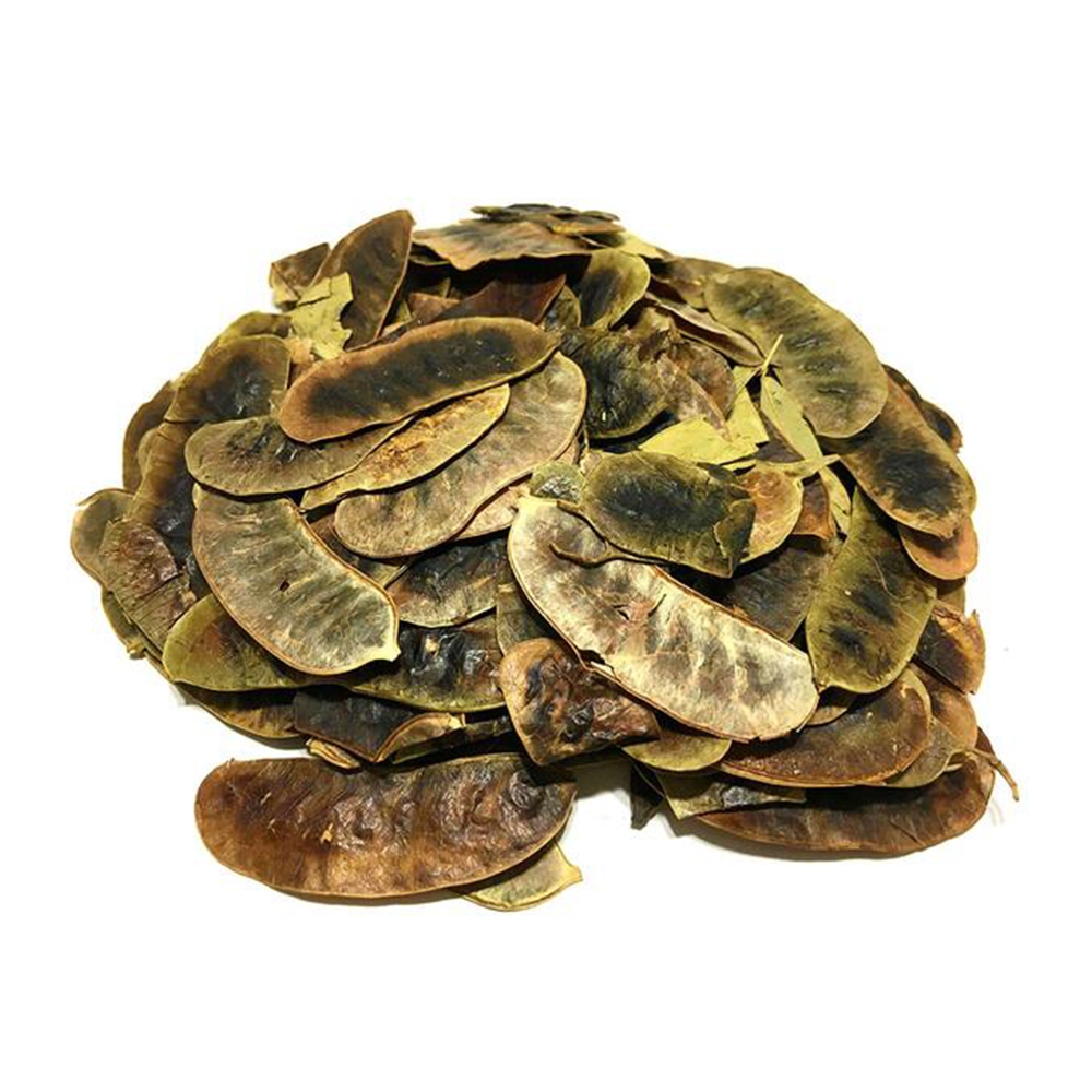 quả cây senna pods