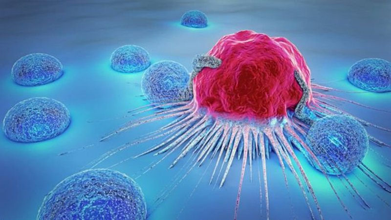 Sinh thiết khối u là gì? Những loại sinh thiết khối u phổ biến hiện nay 1