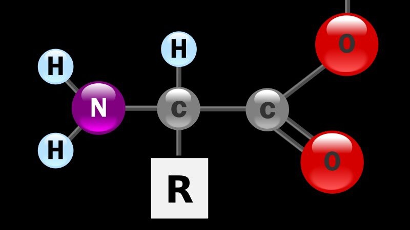 Amino axit là gì? Tên các Amino axit