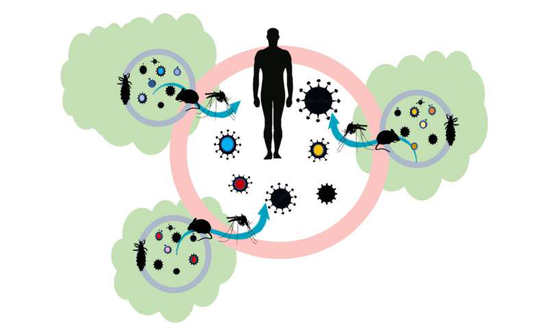 Bệnh truyền nhiễm là gì? Cách phòng chống bệnh truyền nhiễm hiệu quả 1